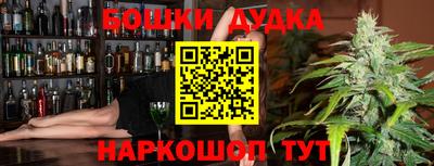 индика Новокубанск