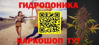 индика Новокубанск